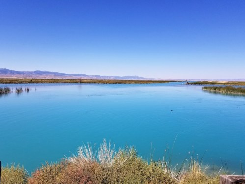 A serene blue river surrounded by lush greenery and distant mountains under a clear blue sky.