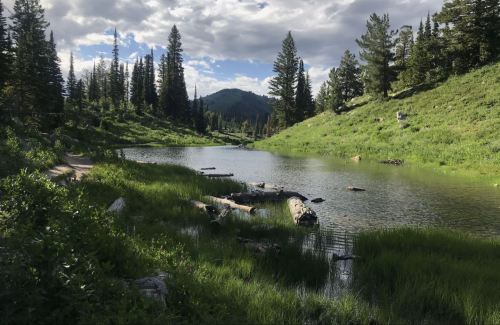 A serene landscape featuring a calm pond surrounded by lush greenery and tall trees under a partly cloudy sky.
