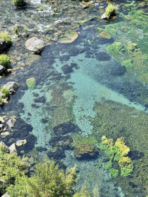 Aerial view of a clear river with rocks and vibrant green plants beneath the water's surface.