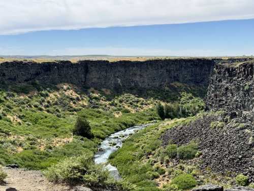 A scenic view of a river winding through a canyon, surrounded by lush greenery and rocky cliffs under a blue sky.