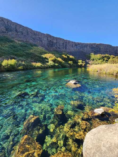 A clear, turquoise river flows through a rocky landscape, surrounded by lush greenery and steep cliffs under a blue sky.