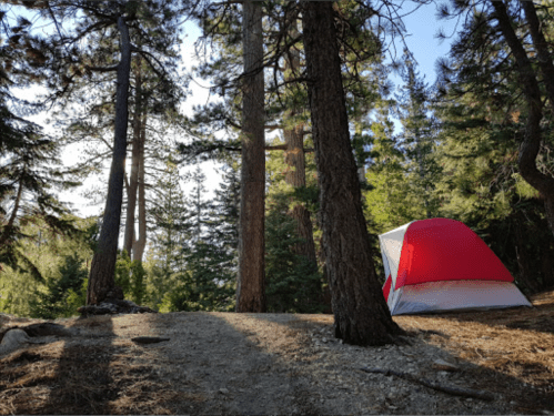 A red tent set up in a forest clearing surrounded by tall trees and dappled sunlight.