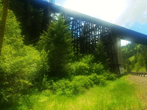 A wooden trestle bridge stands above lush greenery and trees under a bright blue sky with scattered clouds.