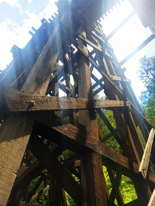 View looking up at a wooden structure with beams and sunlight filtering through, surrounded by greenery.