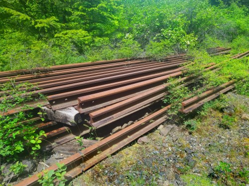 Rusty railway tracks overgrown with greenery, lying on the ground amidst lush vegetation.