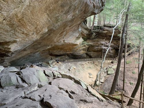 A rocky cave entrance surrounded by trees, with a wooden walkway leading into the forested area.