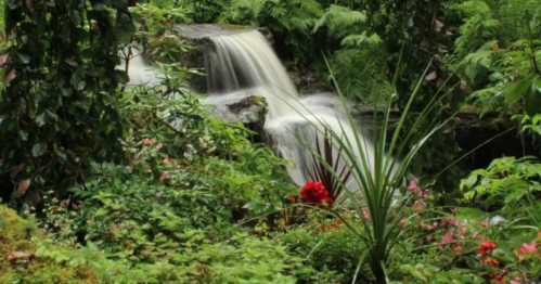 A serene waterfall flows through a lush green garden filled with vibrant flowers and ferns.