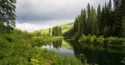A serene river surrounded by lush green trees and mountains under a cloudy sky.
