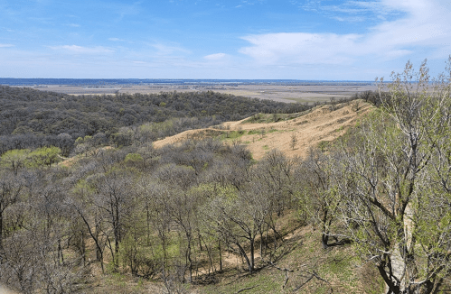 A panoramic view of rolling hills and valleys with sparse trees under a clear blue sky.