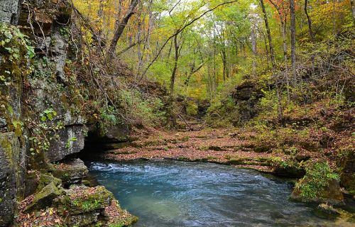 A serene forest scene with a clear stream flowing through rocky terrain, surrounded by colorful autumn foliage.