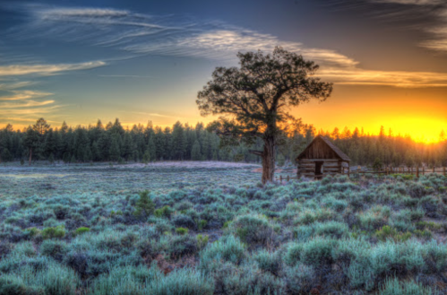 A serene landscape at sunset, featuring a lone tree, a rustic cabin, and fields of green and purple vegetation.