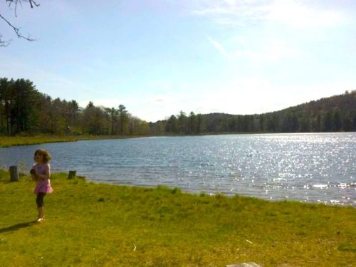 A child in a pink dress stands by a sparkling lake surrounded by trees and hills under a clear blue sky.