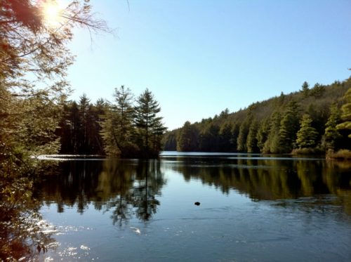 A serene lake surrounded by trees, reflecting the clear blue sky and sunlight on a calm day.