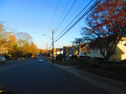 A quiet suburban street lined with houses and trees, under a clear blue sky in autumn.
