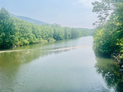 A serene river flows through a lush green landscape under a clear sky, surrounded by trees and distant mountains.