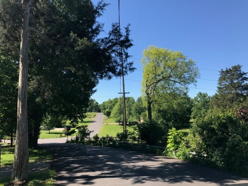 A clear blue sky over a tree-lined street, with green lawns and power lines in the distance.