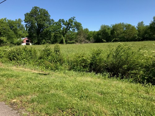 A sunny landscape featuring a green field, trees, and a small red barn in the distance.
