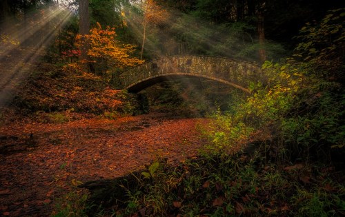 A stone bridge arches over a forest stream, surrounded by autumn foliage and rays of sunlight filtering through trees.
