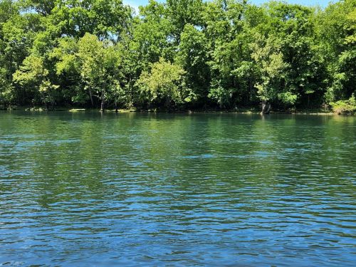 A serene river scene with clear blue water reflecting lush green trees along the shore under a bright sky.
