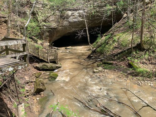 A serene creek flows past a cave entrance, surrounded by lush greenery and wooden walkways.