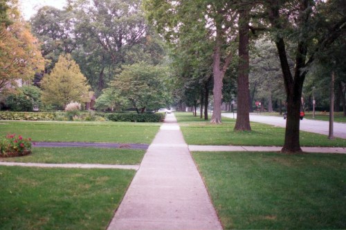 A tree-lined sidewalk stretches through a green park-like area, with grass and flowers on either side.