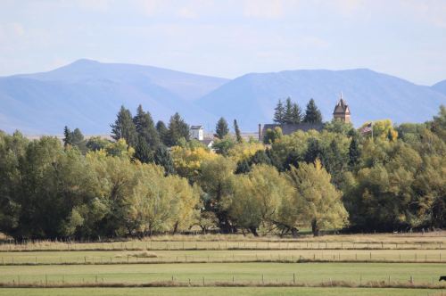 A scenic view of rolling hills and mountains in the background, with lush trees and fields in the foreground.