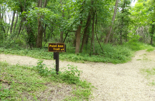 A sign for Point Ann Trail at a fork in a wooded path, surrounded by greenery and gravel.