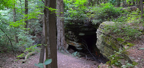 A rocky cave entrance surrounded by lush green trees and foliage in a serene forest setting.