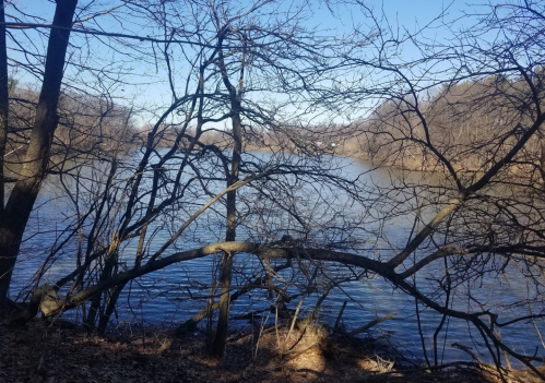 A serene river scene framed by bare trees and branches, with clear blue skies above.