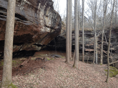 A serene forest scene featuring a rocky overhang, tall trees, and a small waterfall in a natural setting.
