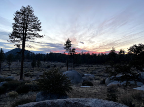 A serene landscape at dusk, featuring trees, boulders, and a colorful sky with clouds.