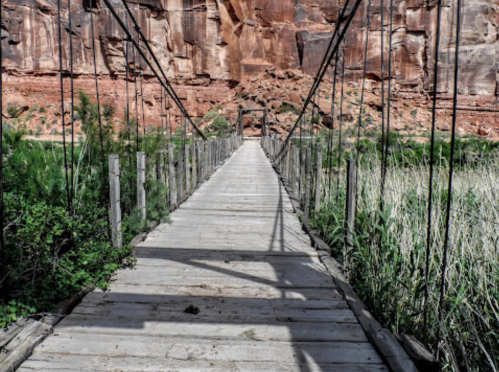 A wooden suspension bridge stretches over greenery, leading towards a rocky canyon backdrop.