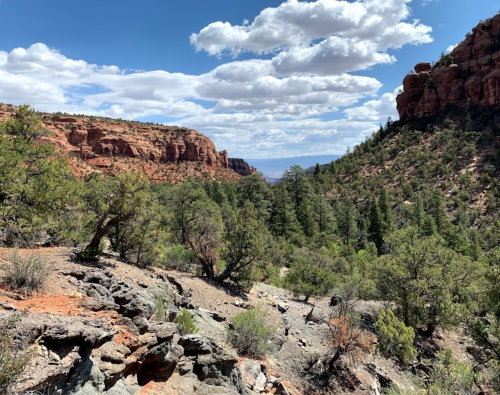 A scenic view of a rocky canyon with green trees and blue skies dotted with clouds.