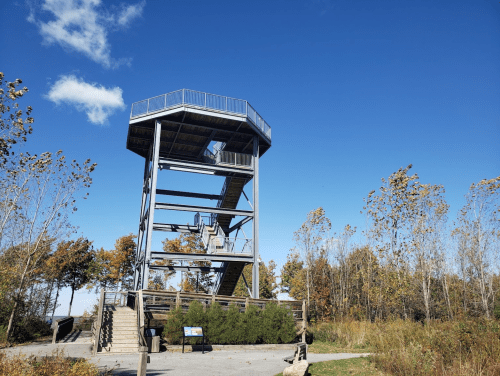 A tall observation tower surrounded by trees under a clear blue sky.