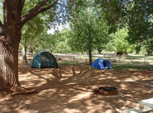Two tents set up under a large tree in a grassy campsite, with a fire pit nearby and a peaceful, green landscape.
