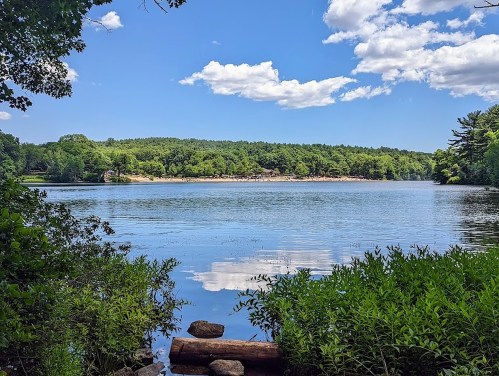 A serene lake surrounded by lush greenery and trees, with a clear blue sky and fluffy clouds reflected on the water.