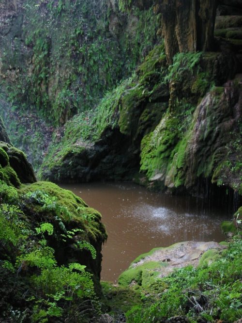 A serene, moss-covered rock formation surrounds a small, still pond in a lush, green forest.