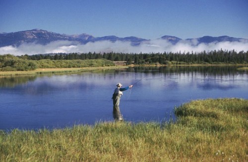 A person fly fishing in a serene lake surrounded by lush greenery and mountains under a clear blue sky.