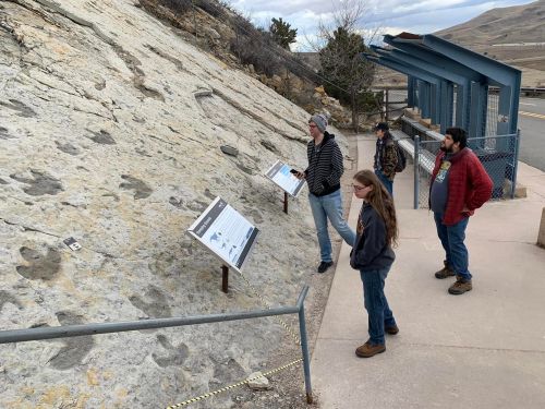 Visitors observe dinosaur footprints on a rocky surface, with informational signs nearby and a scenic backdrop.