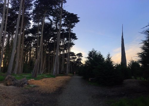 A serene forest path lined with tall trees, leading towards a distant spire against a twilight sky.