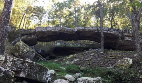 A natural stone arch surrounded by trees and greenery in a forested area.
