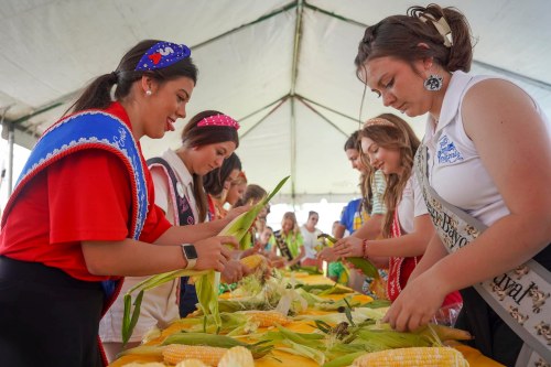 A group of women in traditional attire husk corn at a long table under a tent during a community event.