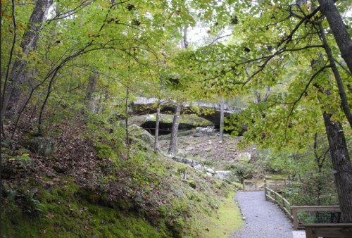 A winding path through a lush forest with green trees and a rocky overhang in the background.