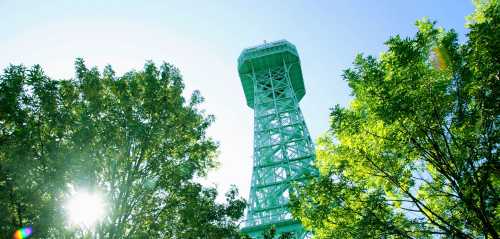 A tall green observation tower rises above lush trees under a clear blue sky, with sunlight filtering through the leaves.