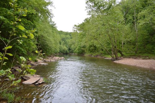 A serene river flows through a lush green landscape, surrounded by trees and rocky banks.