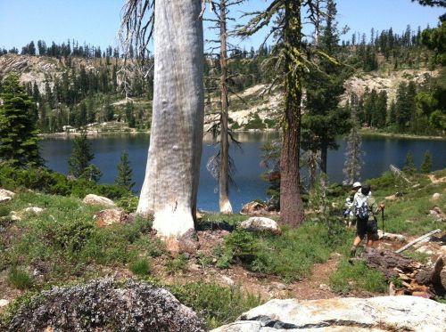 A hiker walks along a trail by a serene lake, surrounded by tall trees and rocky terrain in a forested landscape.