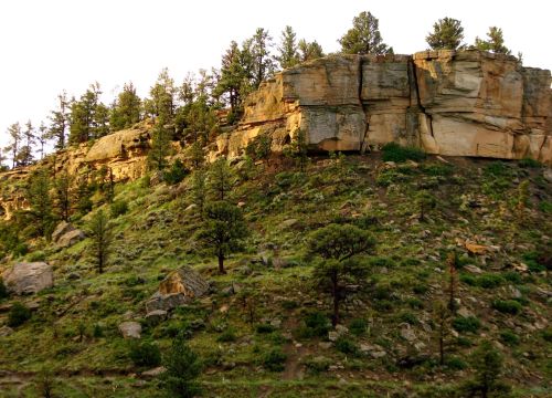 A rocky hillside covered with green vegetation and scattered trees under a warm, golden light.