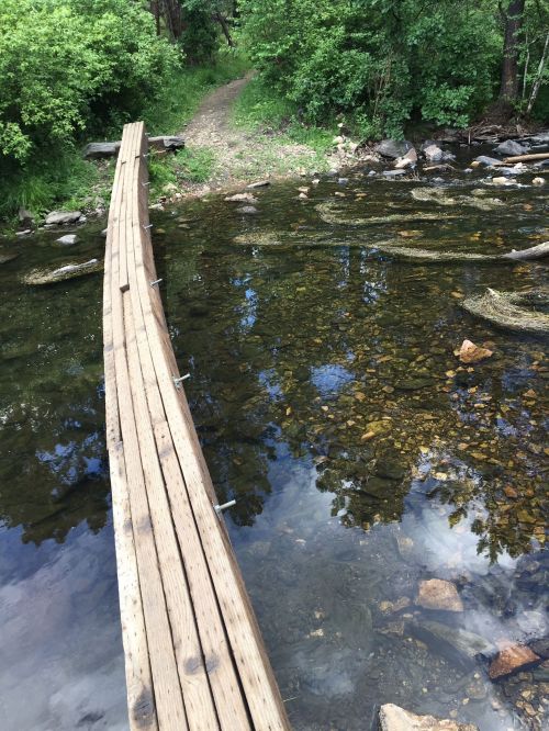 A wooden bridge spans a clear stream, surrounded by lush greenery and rocky banks. A path leads into the woods.