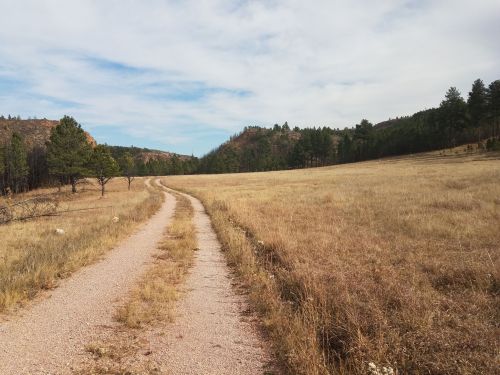 A winding dirt path through a grassy field, surrounded by trees and hills under a cloudy sky.