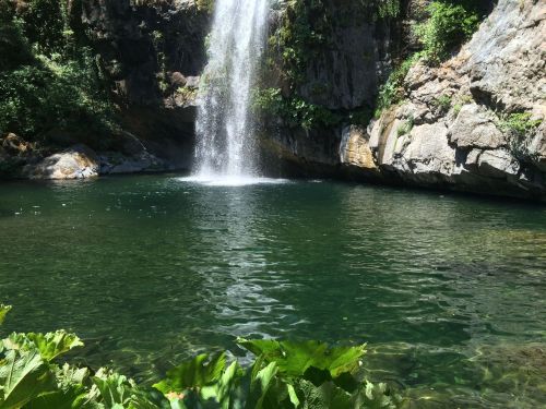 A serene waterfall cascading into a clear pool, surrounded by lush greenery and rocky cliffs.